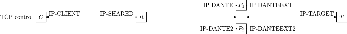 Layer 3 redirection network (TCP)